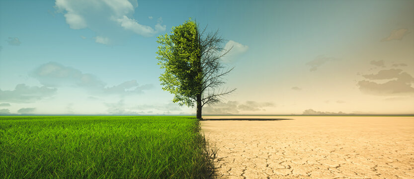 Climate Chronicles: The Interplay of Human Activity and Nature in India