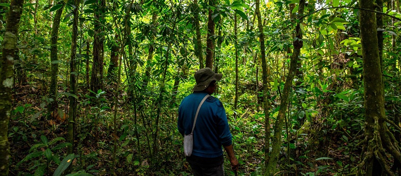 ROOTS OF RESILIENCE: HOW INDIGENOUS COMMUNITIES SAFEGUARD FORESTS IN INDIA