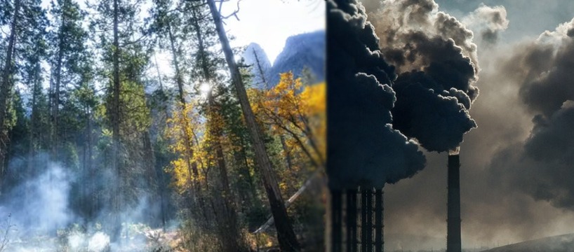 ENVIRONMENTAL HEALTH IN INDIA: A LOOMING CRISIS?